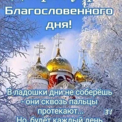 Дмитрий40, Губкин