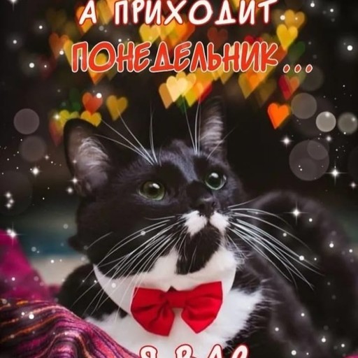 Алексей, 46 лет, Владимир
