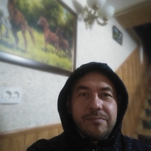 Владимир, 49 лет, Романовская