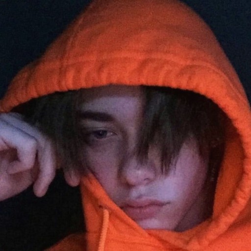 лев, 26 лет