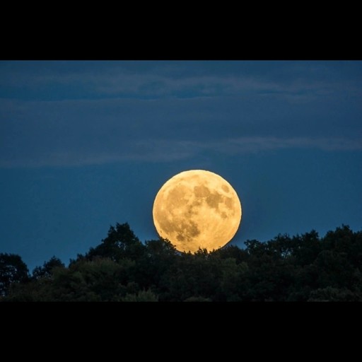 Дима43, Воркута