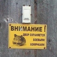 Стас, 32 года, Моршанск