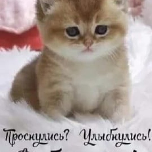 Евгений41, Ишимбай