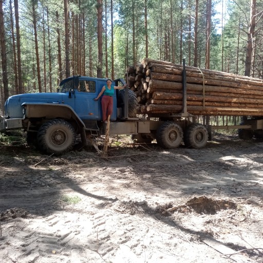 Андрей, 61 год, Новоалтайск