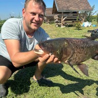 Николай, 46 лет, Червоногригоровка