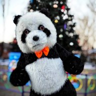 Иван, 39 лет, Мариуполь