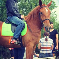 Виталий, 38 лет, Острогожск