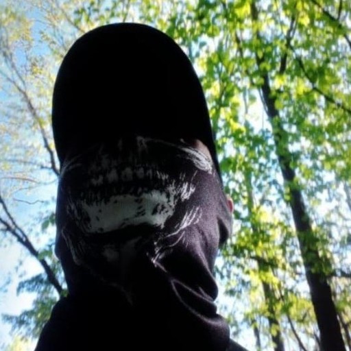 Халил35, Псков