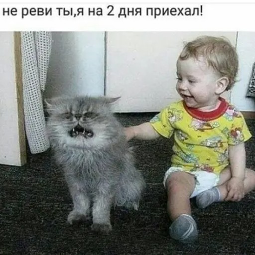 Виктор, 41 год, Липецк