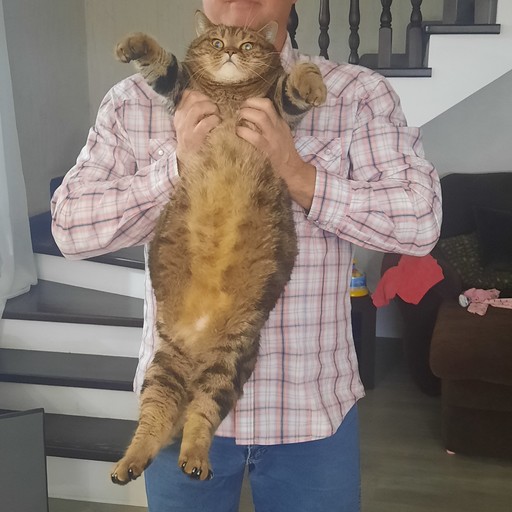 Евгений, 47 лет, Тольятти