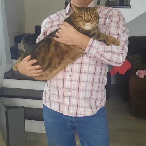Евгений, 47 лет, Тольятти