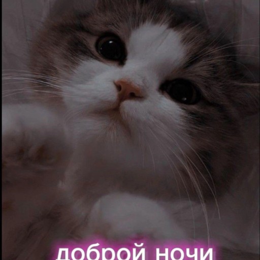 Надежда23, Чебоксары