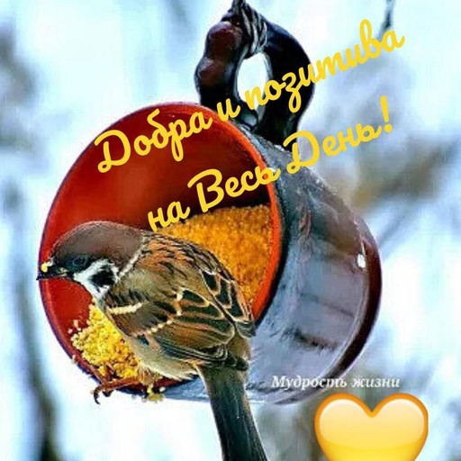 Марика45, Суворовская