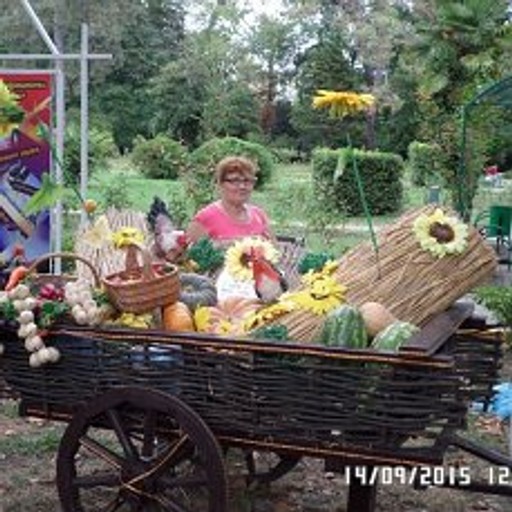 Наталья, 71 год, Новосибирск