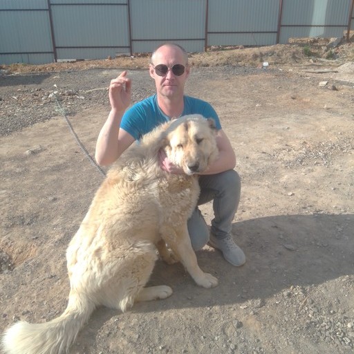 Сергей, 43 года, Опалиха