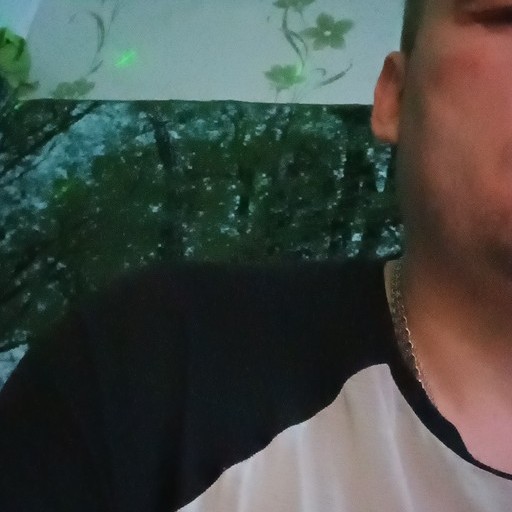 Роман, 43 года, Тула