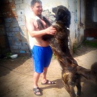 Иван, 39 лет, Дзержинск