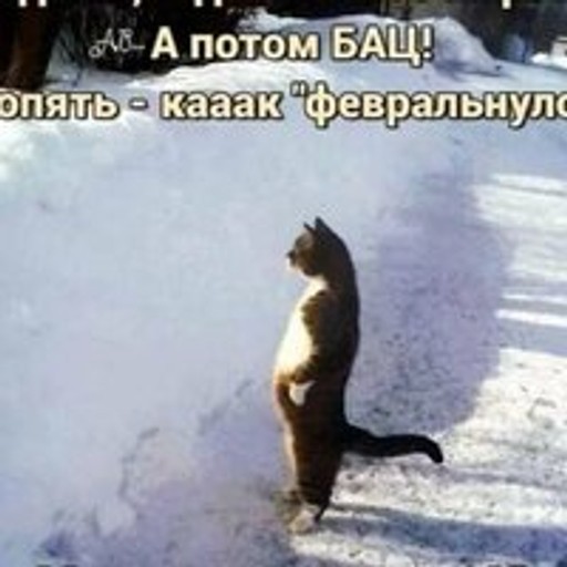 Владимир, 66 лет, Сочи