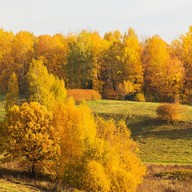 Евгений, 43 года, Кудепста