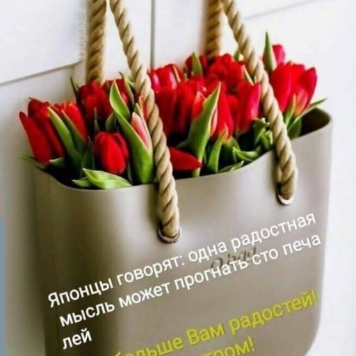 Светлана, 58 лет, Кинешма