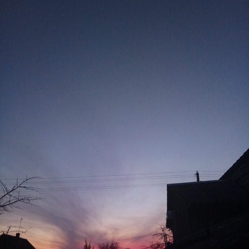 Егор23, Берёза