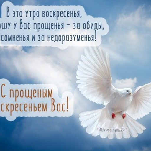 Анастасия, 26 лет, Барнаул