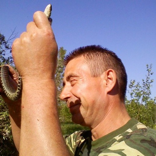 василий, 63 года, Сасово