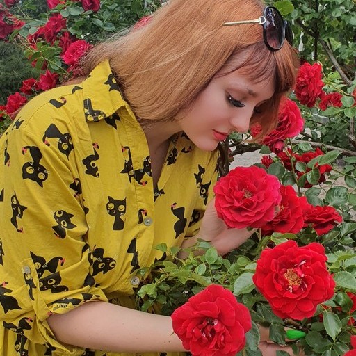 Теа38, Симферополь