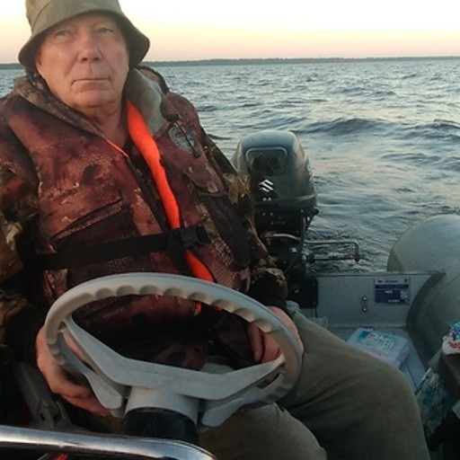 Анатолий, 75 лет, Санкт-Петербург