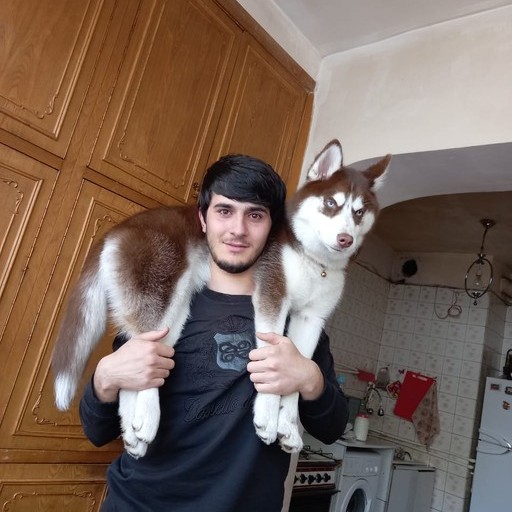 Vardan, 25 лет, Москва