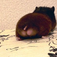 Manni81, 40 лет, Высокое