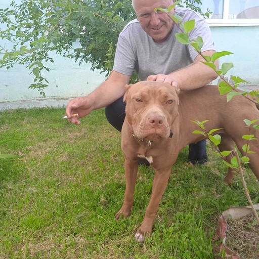 Виталий50, Логойск