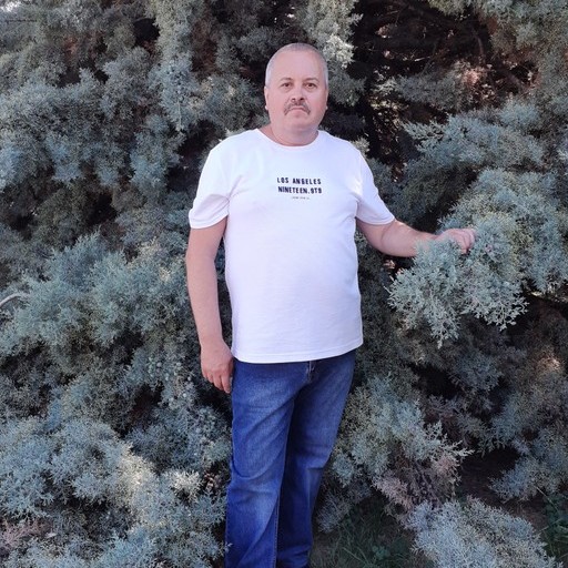 Сергей, 58 лет, Вязьма