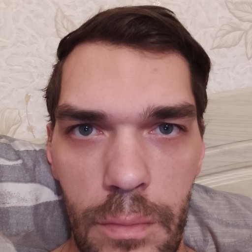 Дмитрий, 37 лет, Гусь-Хрустальный