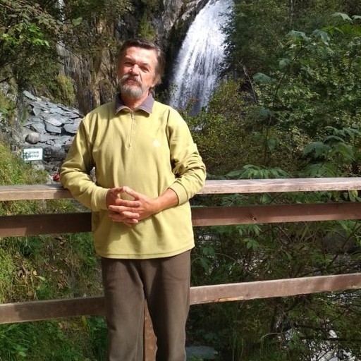 Владимир, 64 года, Бийск