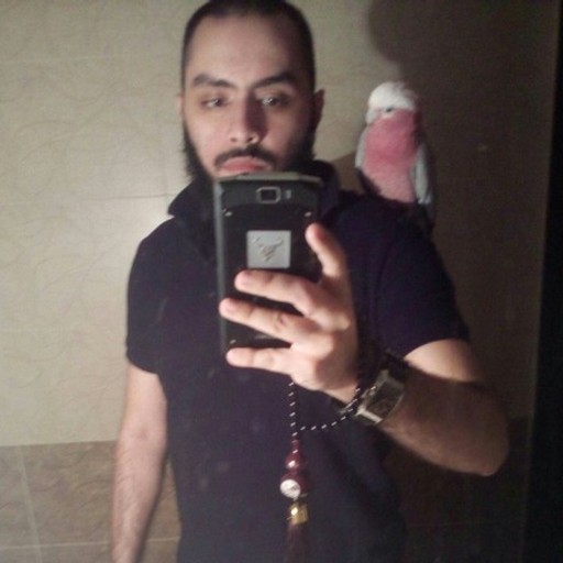Safwan Hedayah, 36 лет, Дагестанские Огни