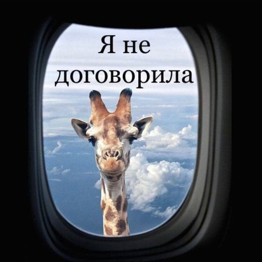 Ксюша, 38 лет, Калининград
