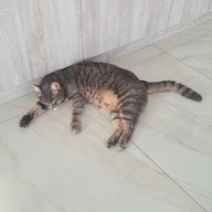 Юрий, 18 лет, Старый Крым