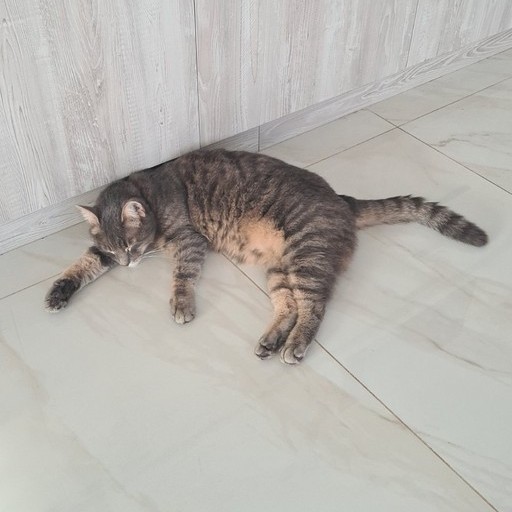 Юрий, 18 лет, Старый Крым