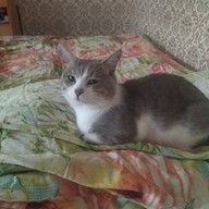 Сергей, 26 лет, Курск