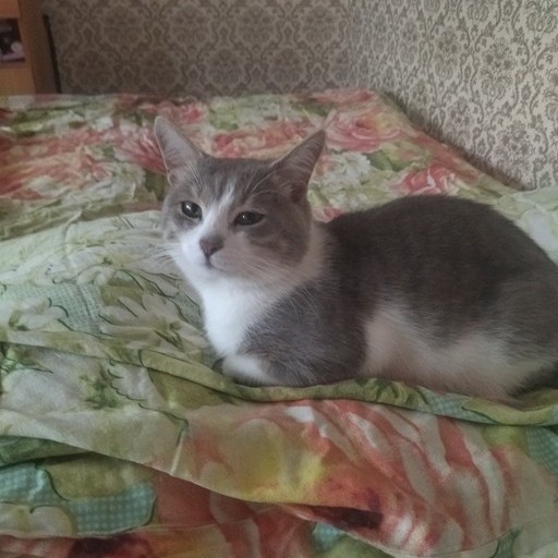 Сергей, 26 лет, Курск