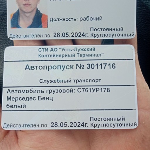 Алексей, 33 года, Кингисепп