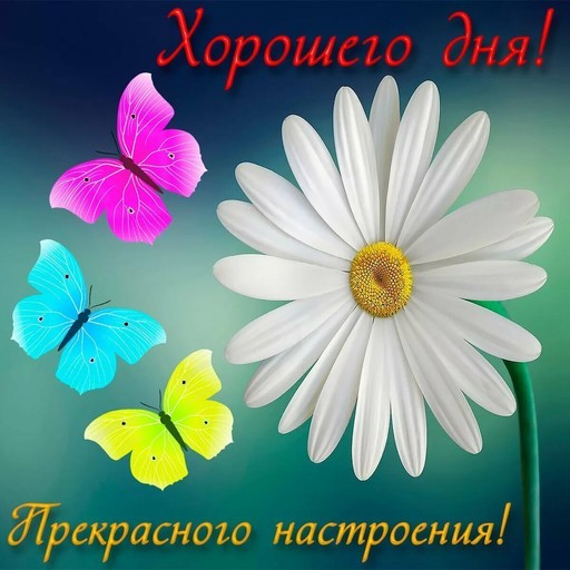 Сергей, 33 года, Самара