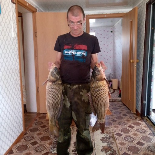 дмитрий, 51 год, Елизаветинская