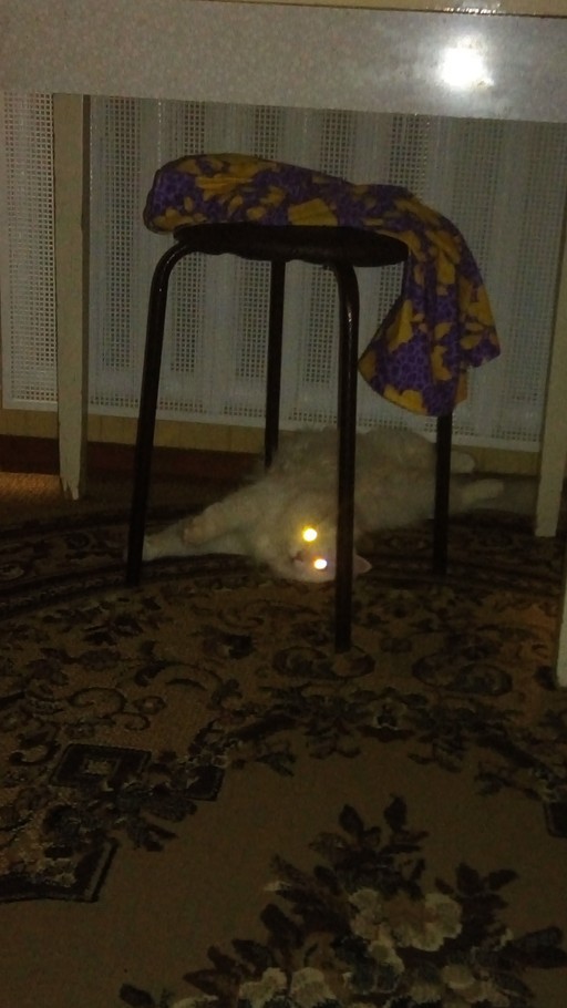 Владимир, 45