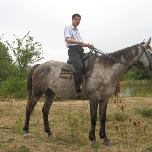 Дмитрий, 41 год, Омск