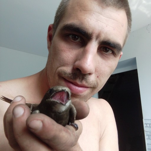 Степан, 29 лет, Сенной