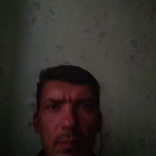 Роман, 41 год, Брянск
