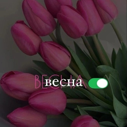 Элина, 29 лет, Москва