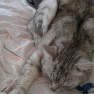 lexx, 49 лет, Talachyn